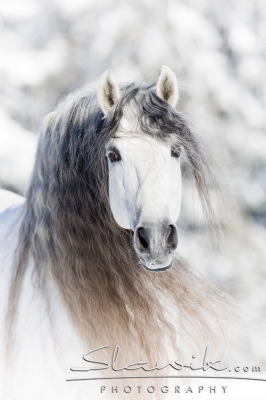 a355967202_65328783_o2