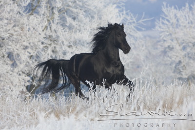 banner_christiane_slawik