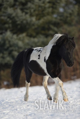 d25e141a34_20178967_o2