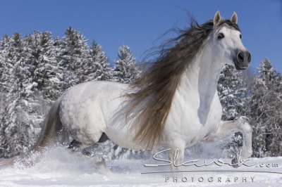 6bd1ee3a94_65328861_o2