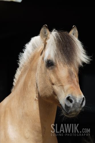 0dd3214cb9_24453662_o2