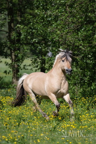 62c720f4bb_24453374_o2