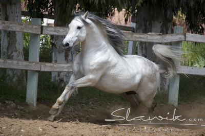 6c741f574f_30616435_o2