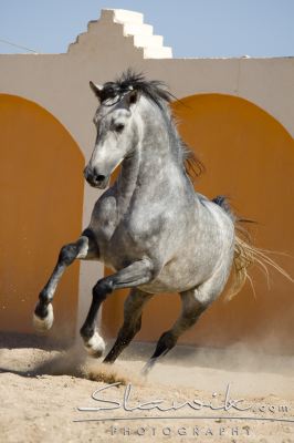 8b7b9b5833_20736920_o2