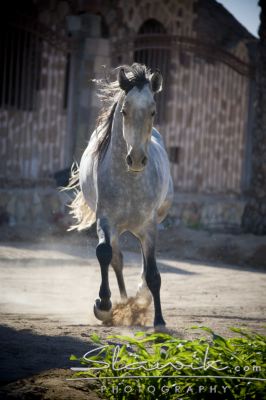 43fdfd3081_20736844_o2