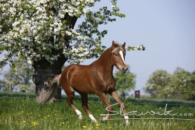 610e8e872a_30607450_o2