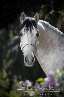 2711008f8b_30656796_o2