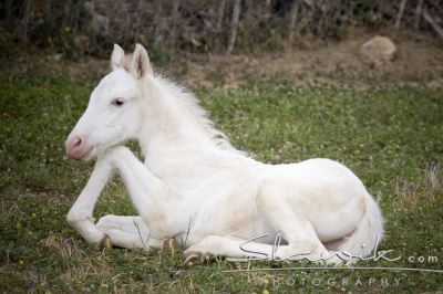 a01b83d8bf_30657145_o2