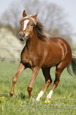 a66bfeedb0_30607469_o2