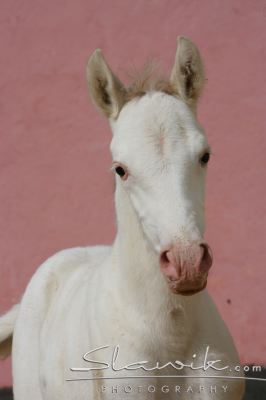 ae011c6815_30657160_o2