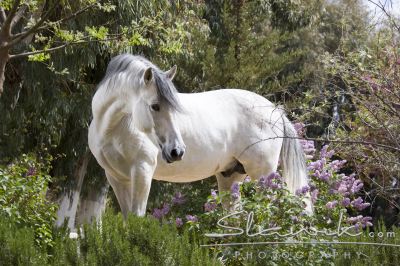 e40b4ca1a8_30616155_o2