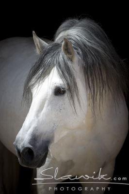 ea85f4df36_30616131_o2