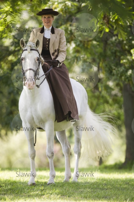 lusitano_tesouro81183